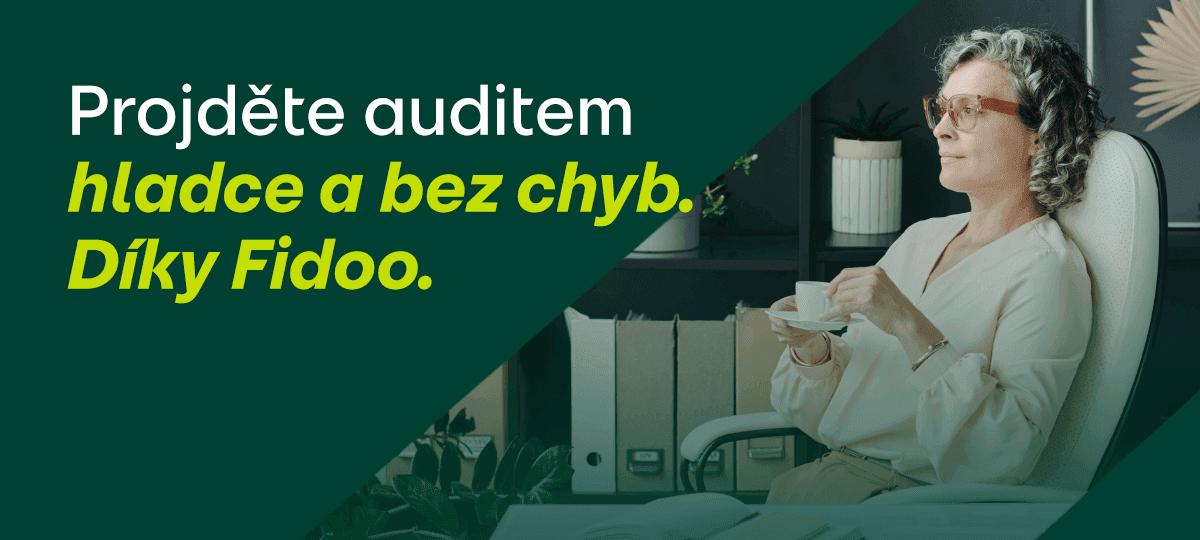 Projděte auditem hladce a bez chyb. Díky Fidoo.