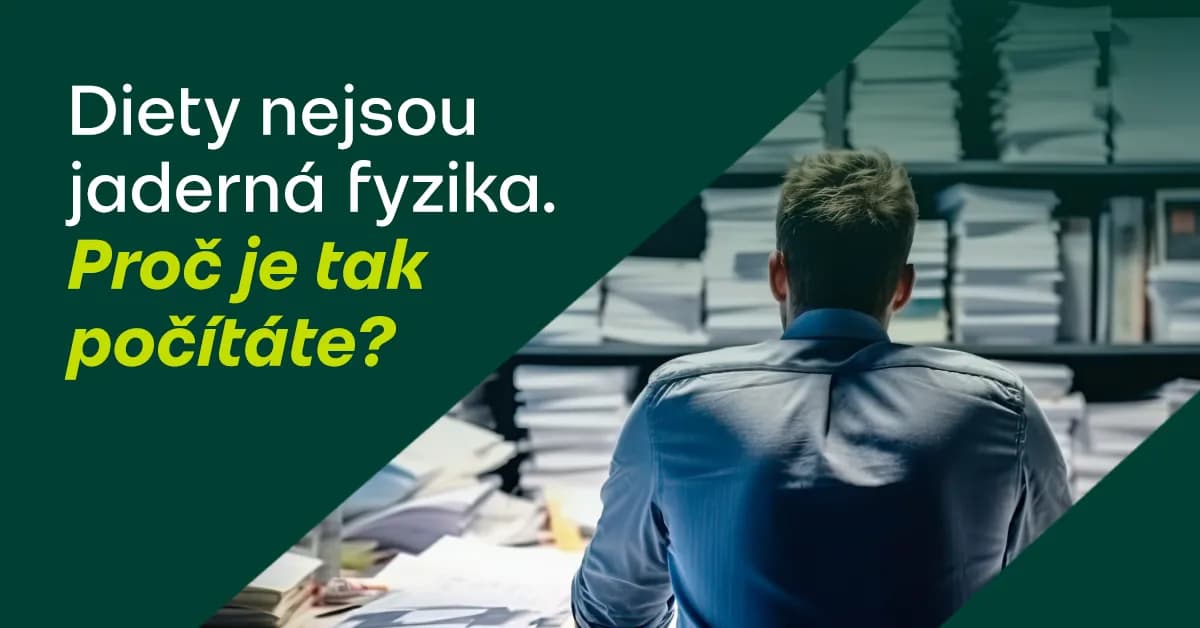 Diety a cestovní náhrady v ČR