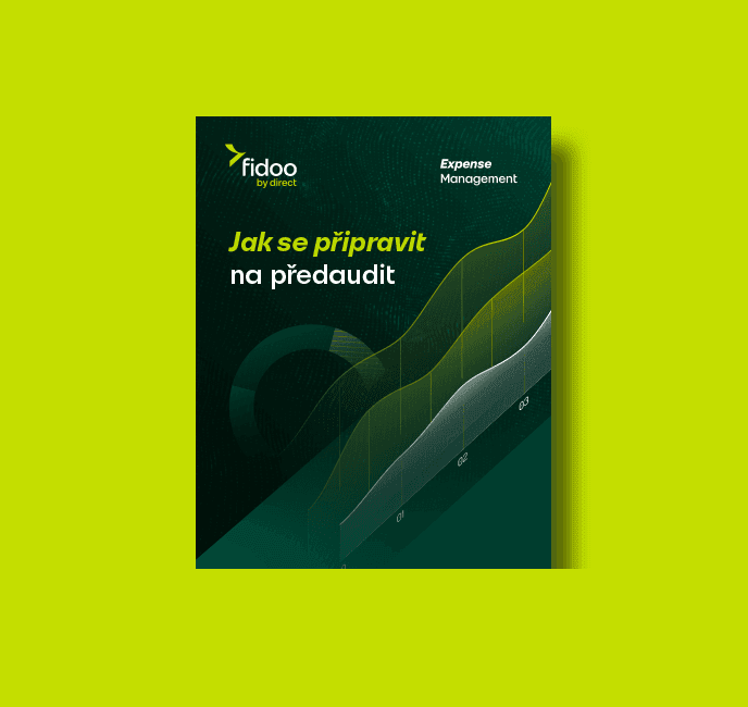 E-book 688x650 audit.png