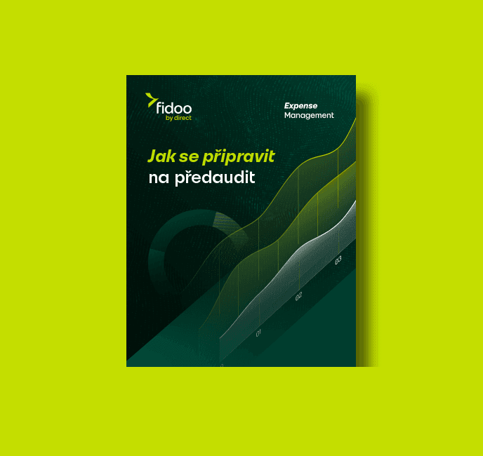 E-book 688x650 audit.png