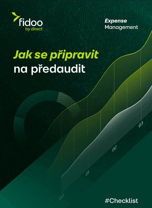Jak se připravit na předaudit