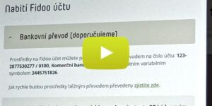 Řízení firemních toků